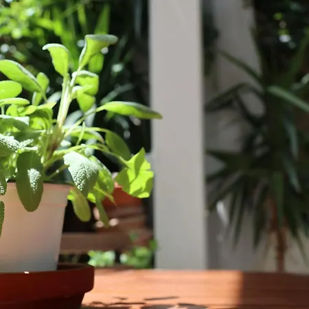 Giosalea Penzion Tropea